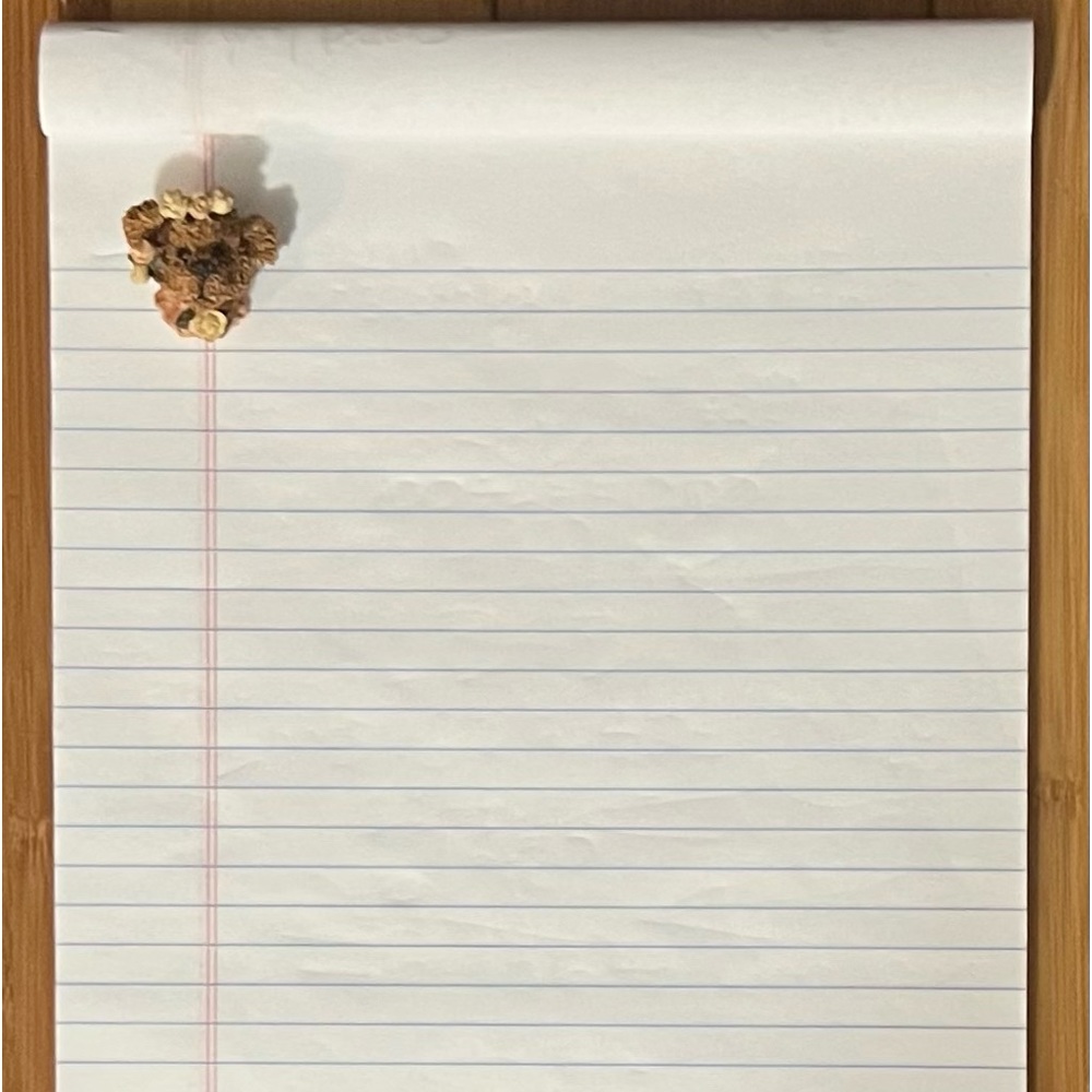 Antique Boyd’s Bear pin